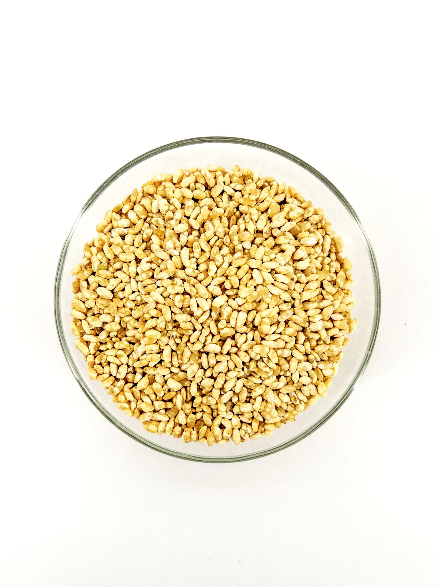 Genmai Koji – Gefermenteerde volkorenrijst – 500 g – Terrasana